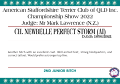 4.A.2. CH. NEWBELLE PERFECT STORM (AI).png